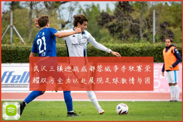 武汉三镇迎战成都蓉城争夺联赛荣耀双方全力以赴展现足球激情与团队精神