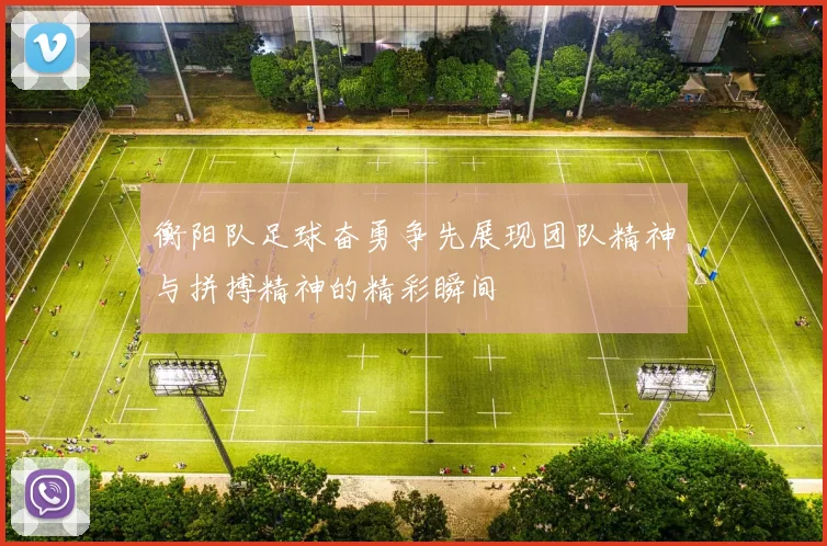 衡阳队足球奋勇争先展现团队精神与拼搏精神的精彩瞬间