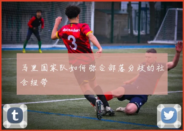 马里国家队如何弥合部落分歧的社会纽带