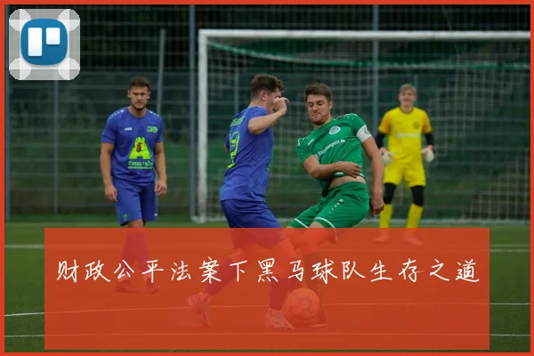 财政公平法案下黑马球队生存之道