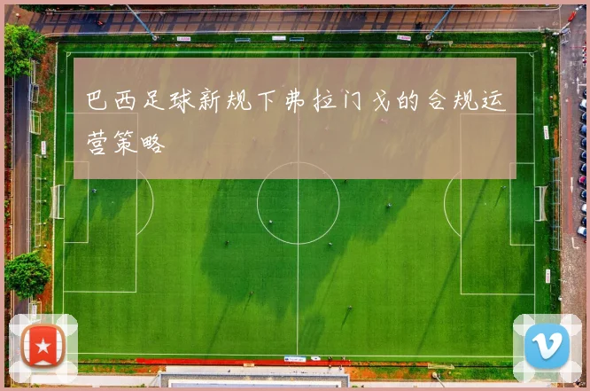 巴西足球新规下弗拉门戈的合规运营策略