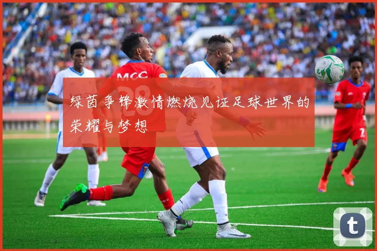 绿茵争锋激情燃烧见证足球世界的荣耀与梦想