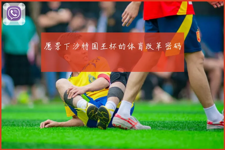 愿景下沙特国王杯的体育改革密码