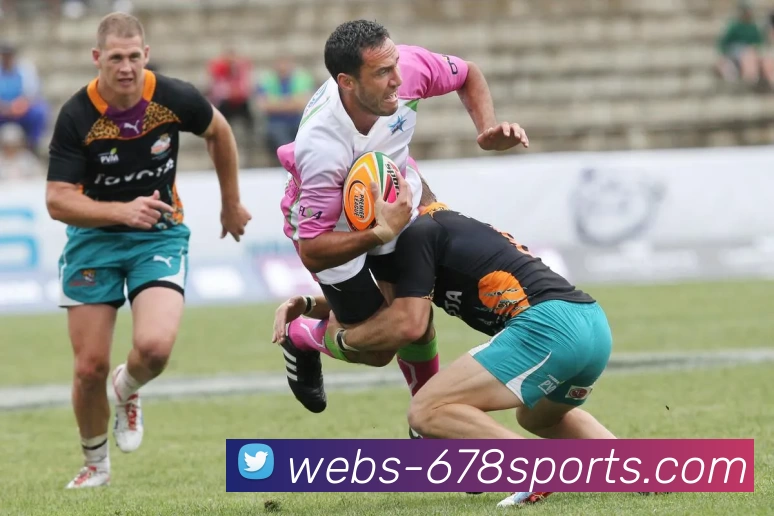 678体育平台APP 封面图